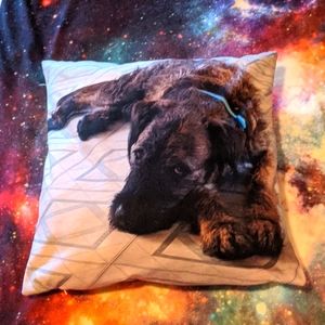 Airedale Terrier BrownieDog Couch Pillow dog lover Disco Biscuits dog